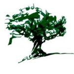 Secreto Olivo Secreto Olivo