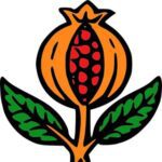 Islas en la red Islas en la red