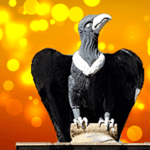 Plaza Catorce Plaza Catorce