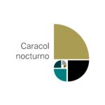Caracol nocturno